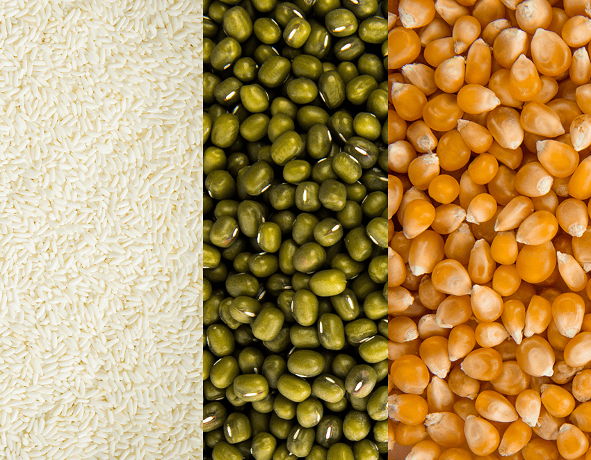 Rice & Bean, Corn royal motor